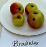 Apfel BRAKELER Foto Brandt