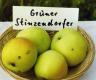 Apfel GRUENER STINZENDORFER Foto Brandt