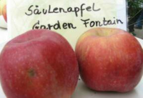 Apfel Garden Fontaine Foto Brandt