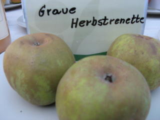 Apfel Graue Herbstrenette Foto Brandt