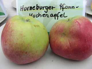 Apfel HOREBURGER PFANNKUCHENAPFEL  Foto Brandt