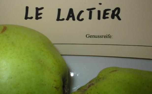 Apfel Le Lactier Foto Brandt