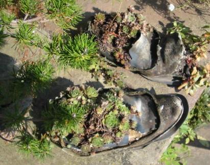 Schuhe im Foerster Garten Potsdam-Bornim Foto Maria Mail-Brandt