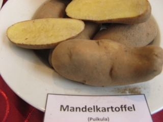 Mandelkartoffel Foto Brandt