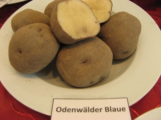 Odenwälder Blaue Foto Brandt