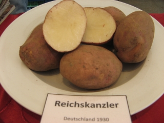 Reichskanzler Foto Brandt